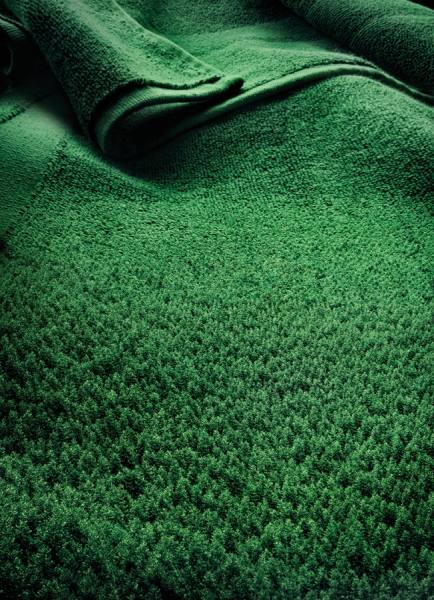 Photograph Regis Pranaitis  Pinewood Towel on One Eyeland